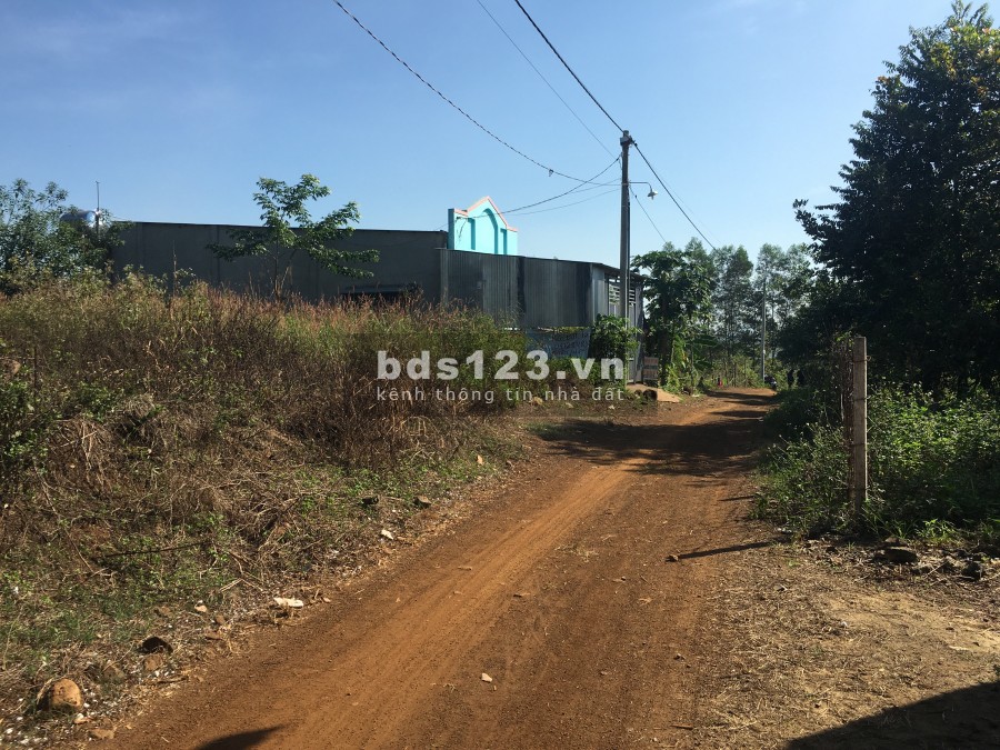 Đất ấp 94 gần KCN Dầu Giây sổ riêng bán gấp trả nợ ngân hàng.