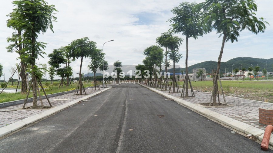 Tôi chính chủ bán cắt lỗ 1 lô đất thị Trấn Neo(Nham Biền), có sổ hạ tầng đẹp có hồ điều hòa 5000m2