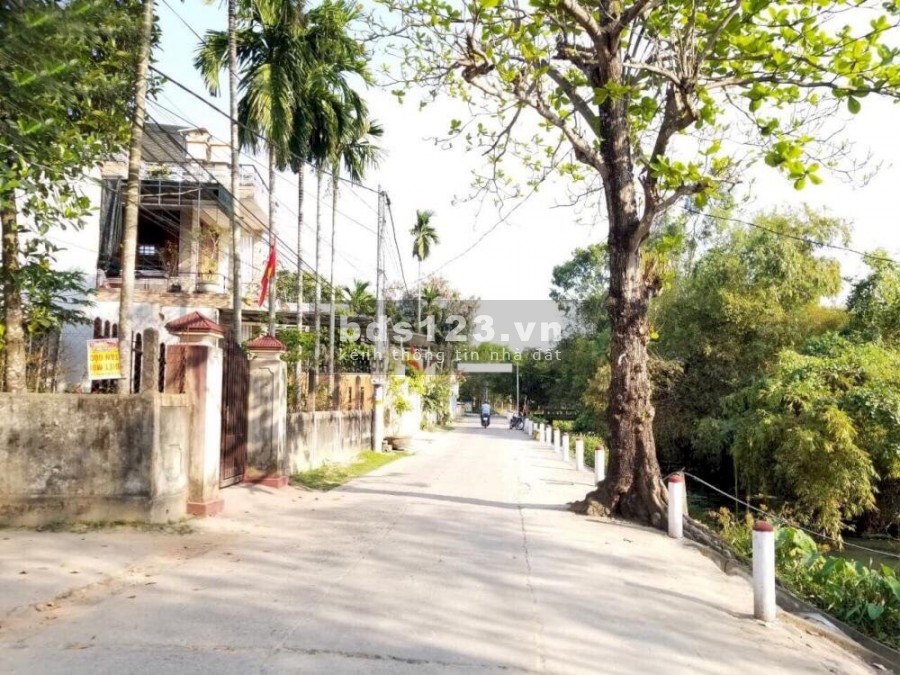 MUA ĐẤT TẶNG NGAY NHÀ CẤP 4 TÂY TRÌ NHƠN