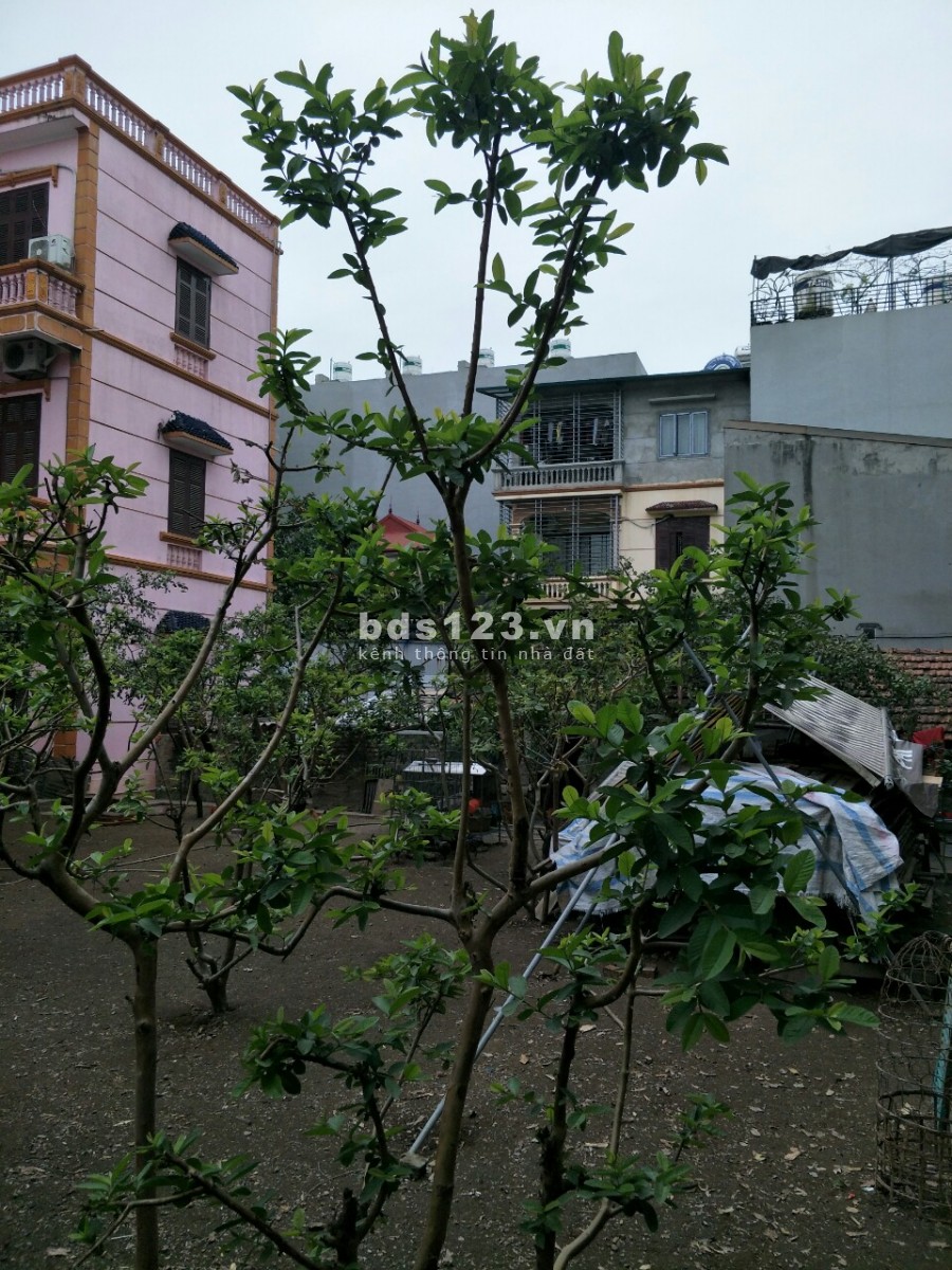 Cần bán gấp mảnh đất mặt ngõ 321 đường Bát Khối 80m2 x 4.2m MT, giá 4 tỷ, Ô tô thông.