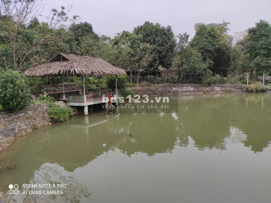 BÁN 6HA ĐẤT YÊN BÌNH THẠCH THẤT GIÁ 85 TỶ