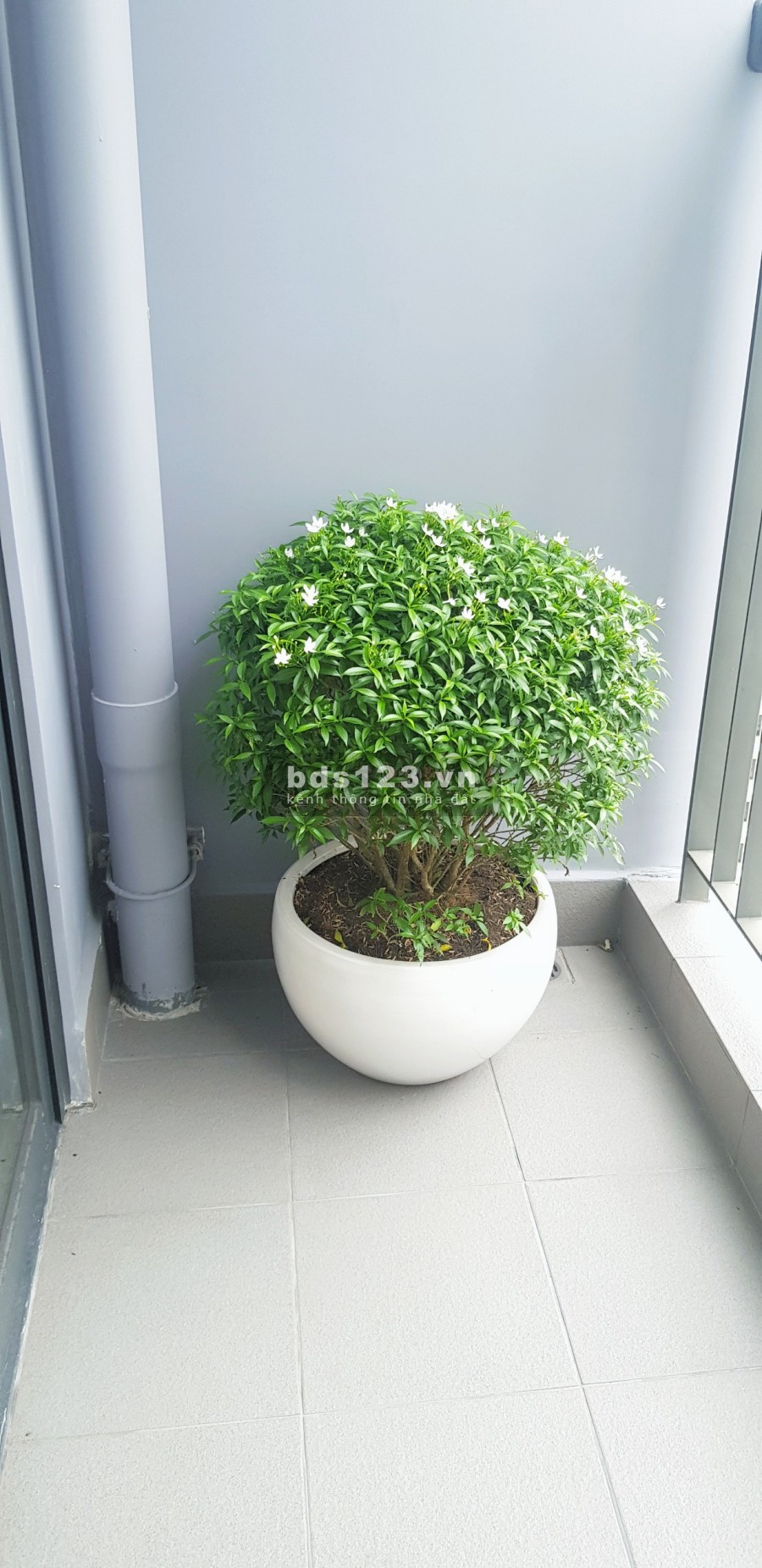 Bán căn 3PN chỉ 2ty580 tại Vinhomes Quận 9 bao hết thuế phí sang nhượng