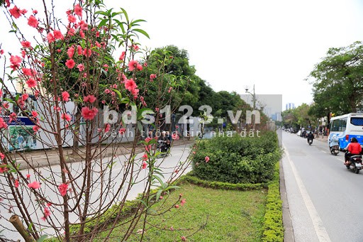 Đất Phường Nhật Tân, Gần Mặt Phố Lạc Long Quân 45m2, Mặt Tiền 6m, 5 tỷ7.