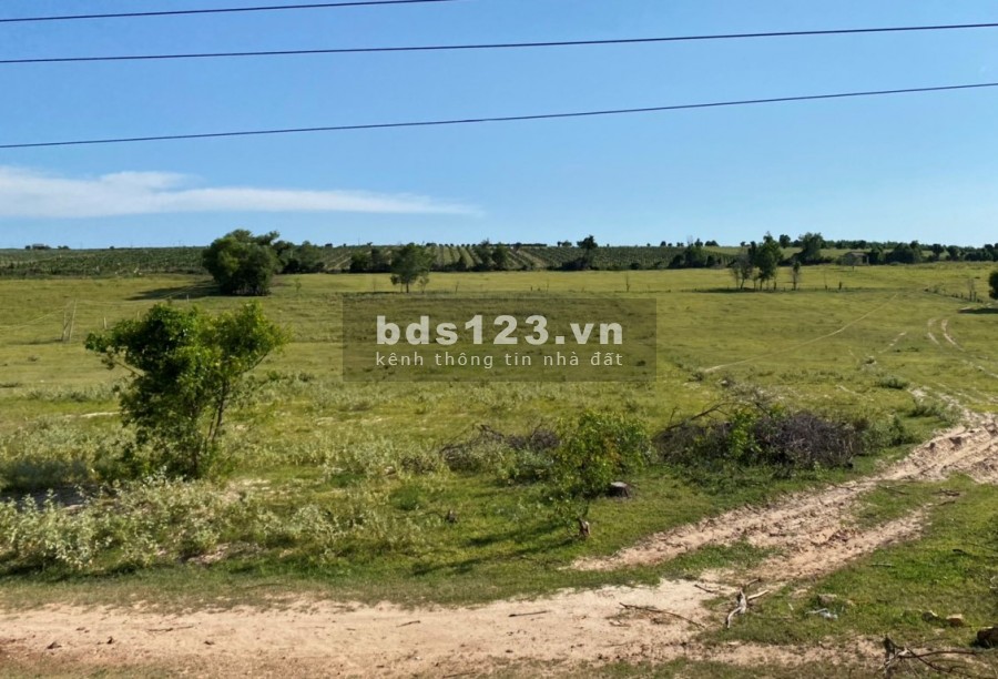 Bán 5500m2 đất nông nghiệp hồng thái, bắc bình mặt tiền liên xã cách kdl bàu trắng 5km chỉ 770tr Lh 0938677909 Hiền xem sổ