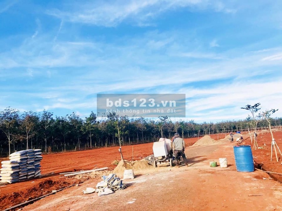 Bán gấp 300m2 đất cạnh khu công nghiệp Nam Pleiku