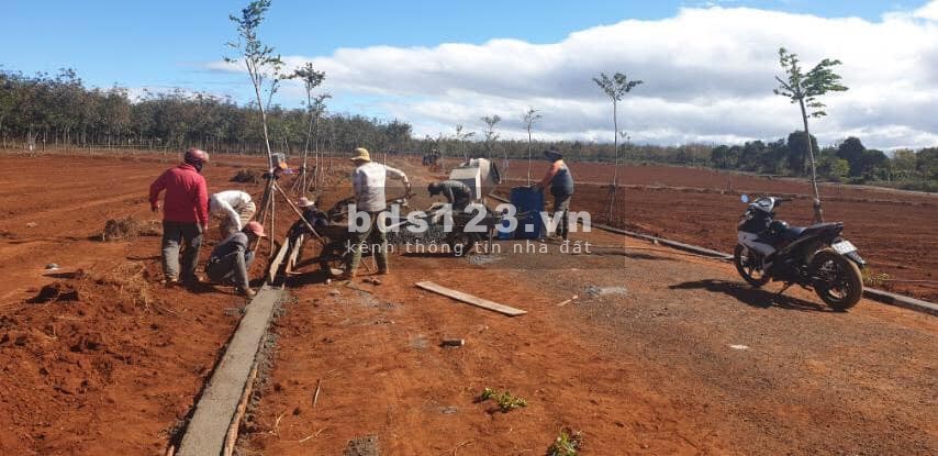 Bán gấp 300m2 đất cạnh khu công nghiệp Nam Pleiku