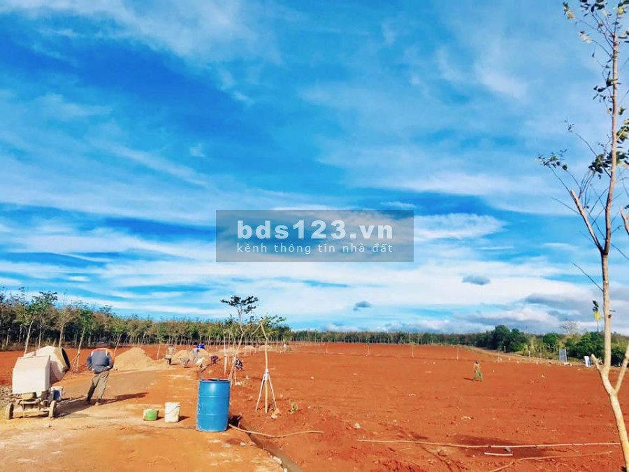 Bán gấp 300m2 đất cạnh khu công nghiệp Nam Pleiku