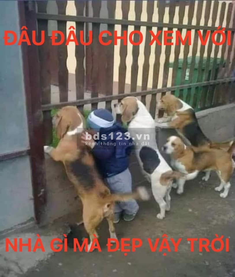 Bán nhà đẹp vào ở ngay Quận 10, 5 tầng, 41m2 chỉ 5 tỷ 250