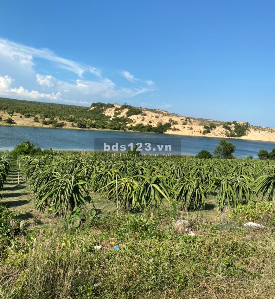 Bán 5500m2 đất nông nghiệp hồng thái, bắc bình mặt tiền liên xã cách kdl bàu trắng 5km chỉ 770tr Lh 0938677909 Hiền xem sổ