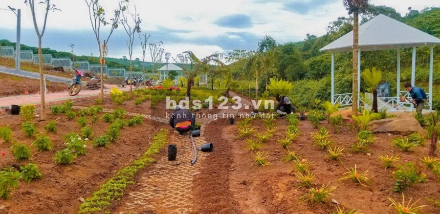 750 triệu có ngay đất thổ cư gần trung tâm TP Bảo Lộc. Nghỉ dưỡng cùng suối đồi Tây Nguyên.