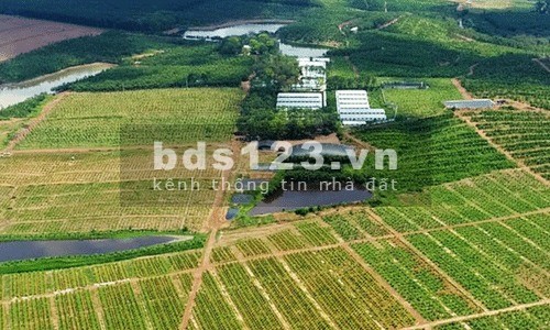 Sang nhượng gấp trang trại ở Nam Định