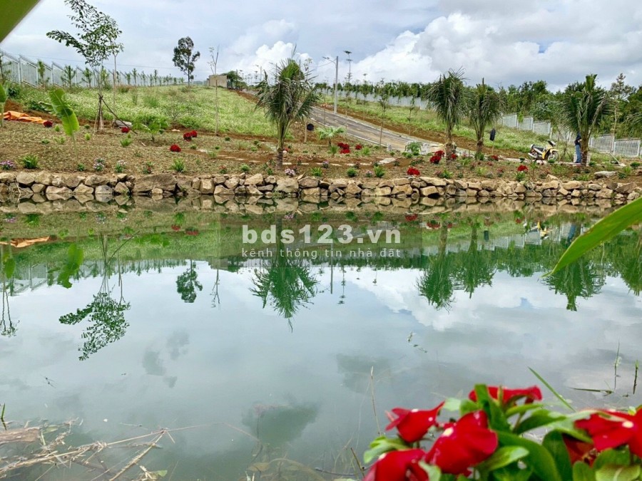 750 triệu có ngay đất thổ cư gần trung tâm TP Bảo Lộc. Nghỉ dưỡng cùng suối đồi Tây Nguyên.