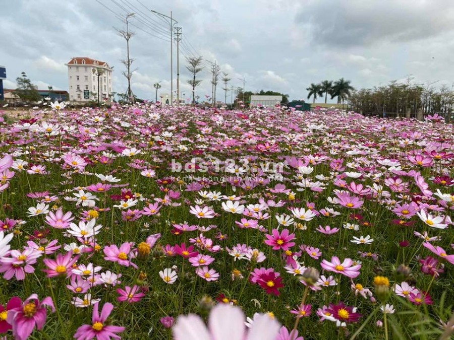 BÁN ĐẤT DỰ ÁN HẢI YÊN VILLAS TP MÓNG CÁI