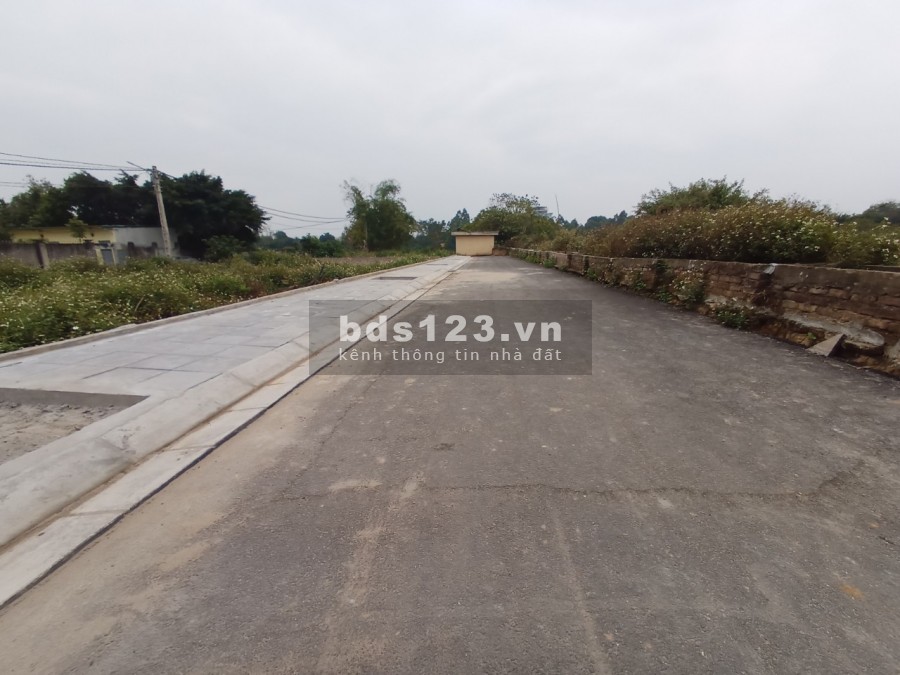 BÁN ĐẤT VƯỜN ĐÀO THÔN PHÚC LỘC, 2 MẶT NGÕ TRƯỚC SAU ĐỀU Ô TÔ TRÁNH, 83x5, CHỈ 65TR/M2