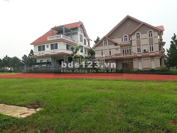 Cần bán gấp 400m2 đất xây biệt thự The Phoenix Garden