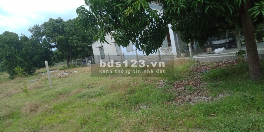Cần bán nhanh lô dất thổ cư ngay trung tâm xã cam thành bắc huyện Cam Lâm tỉnh Khánh Hòa, gần QL1A, chỉ với 2,5tr/m2