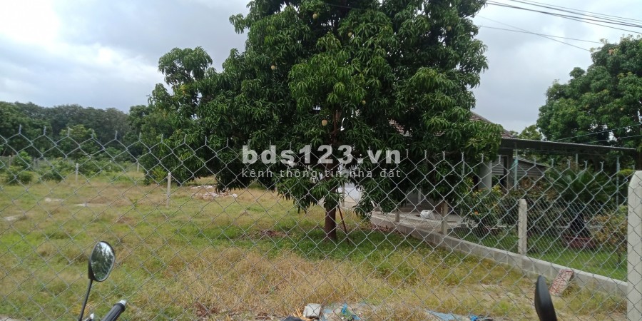 Cần bán nhanh lô dất thổ cư ngay trung tâm xã cam thành bắc huyện Cam Lâm tỉnh Khánh Hòa, gần QL1A, chỉ với 2,5tr/m2