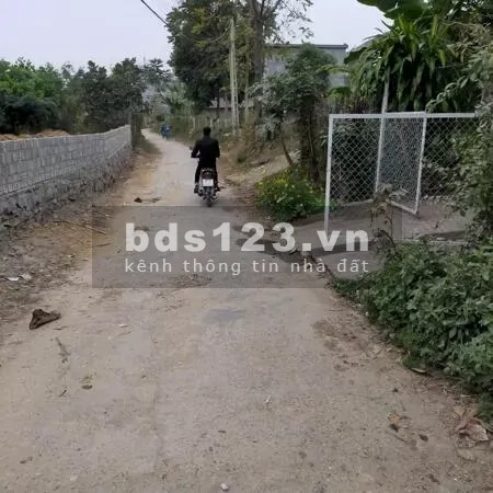 CHÍNH CHỦ KHÔNG SỬ DỤNG ĐẾN CẦN BÁN MẢNH ĐẤT TẠI THÔN HOÀ MỤC 2