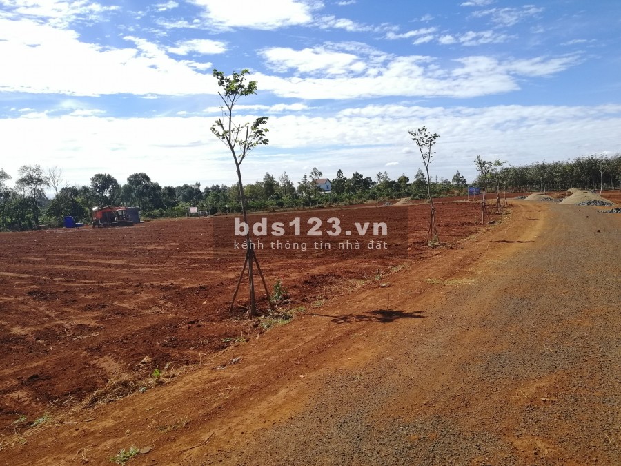 Siêu hấp dẫn! Đất nền bìa đỏ Gia Lai chỉ 350tr/nền