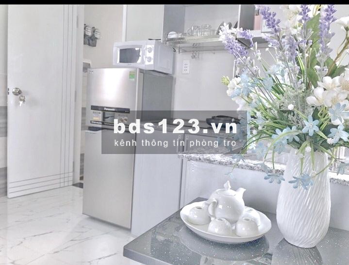 Cho thuê căn hộ mini full nội thất mặt tiền đường Dã Tượng P.10 Q8