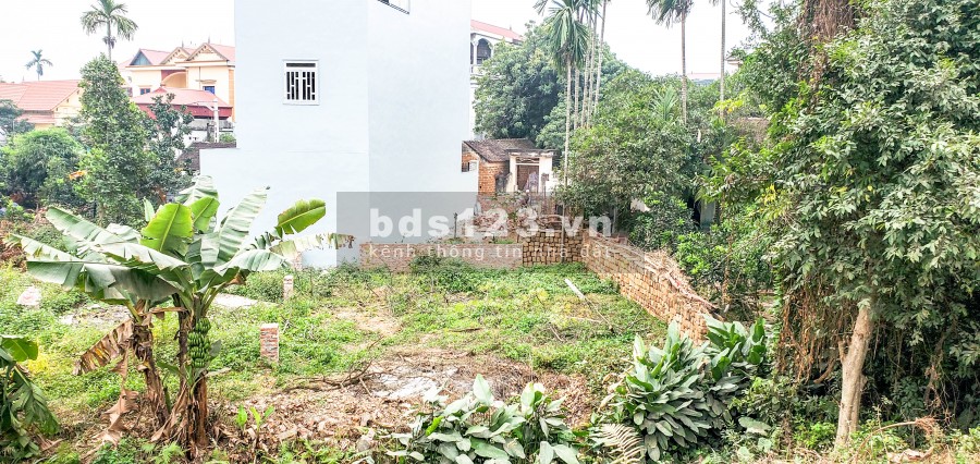 BÁN ĐẤT GIÁ CỰC RẺ TẠI THÔN NGỌC BÀI – BẤT ĐỘNG SẢN QUỐC OAI