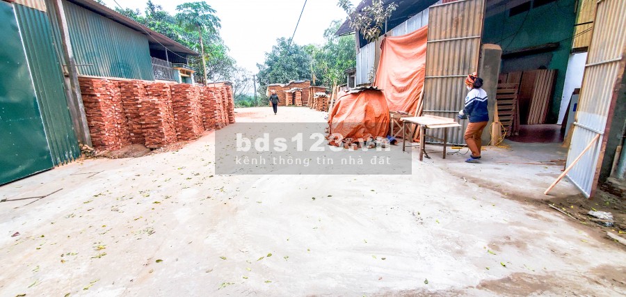 BÁN ĐẤT GIÁ CỰC RẺ TẠI THÔN NGỌC BÀI – BẤT ĐỘNG SẢN QUỐC OAI