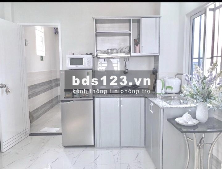 Cho thuê căn hộ mini full nội thất mặt tiền đường Dã Tượng P.10 Q8