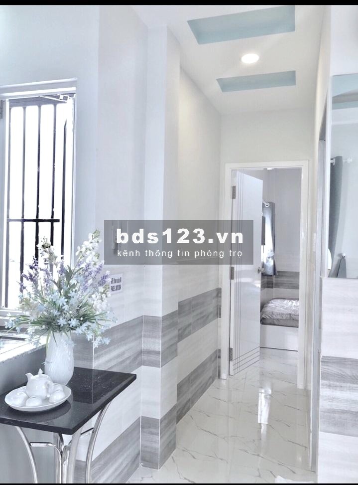 Cho thuê căn hộ mini full nội thất mặt tiền đường Dã Tượng P.10 Q8