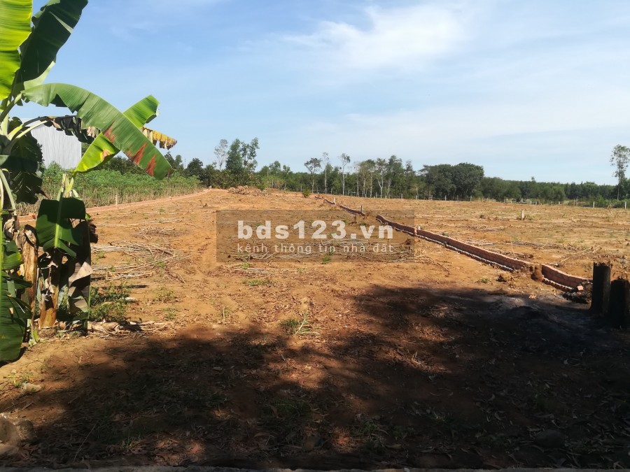 Đất gần sân bay Long Thành, sổ hồng công chứng ngay tại Bàu Cạn. LH 0393 760 544