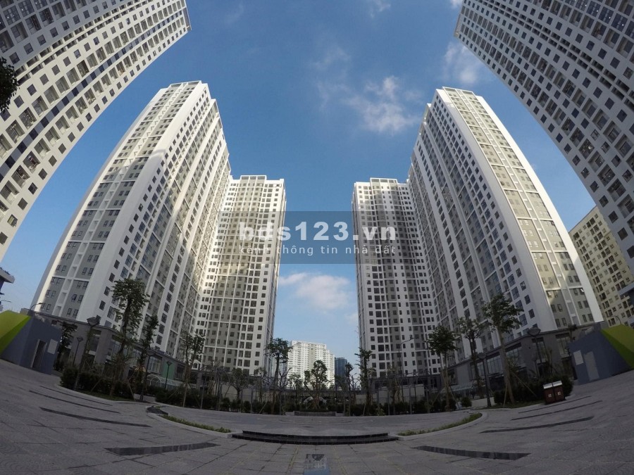 Cần Cho thue căn hộ 65,8m toà No4