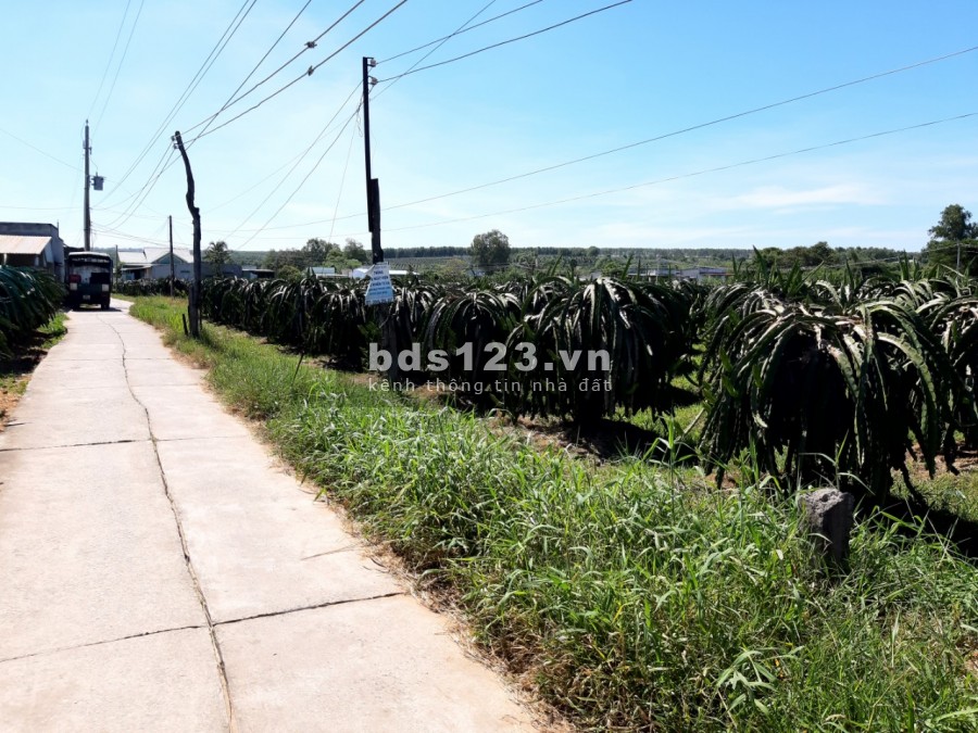 Bán 3000m2 đất sào có thổ cư gần TP.Phan Thiết