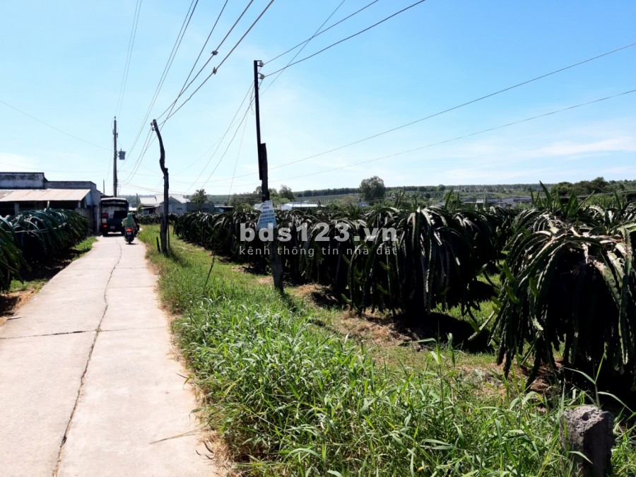 Bán 3000m2 đất sào có thổ cư gần TP.Phan Thiết