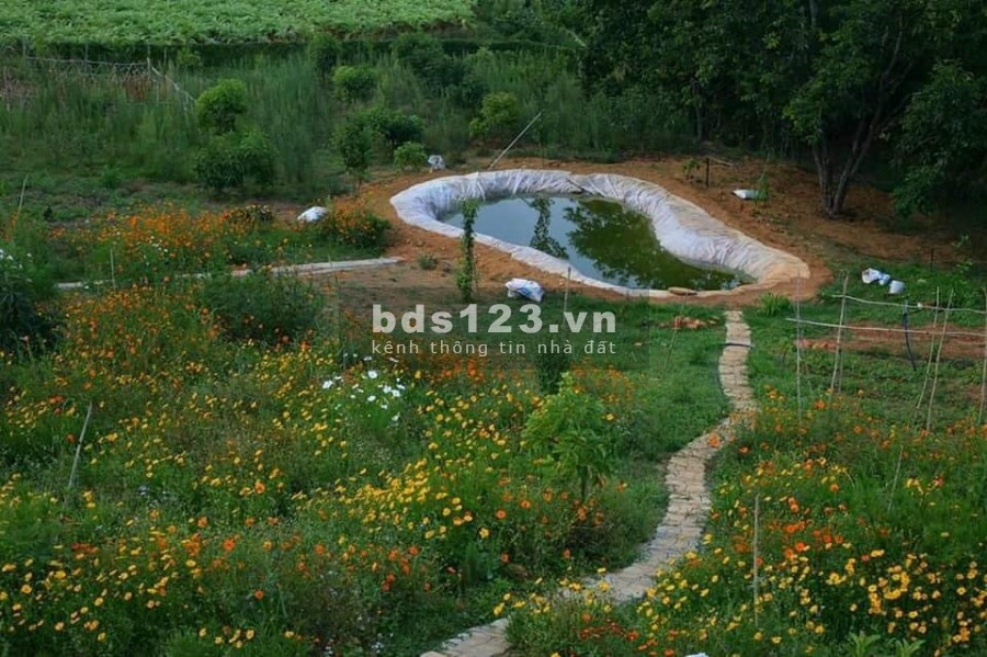ĐẤT NỀN NGHỈ DƯỠNG SINH THÁI LA BEAUTE CHUẨN 5 SAO