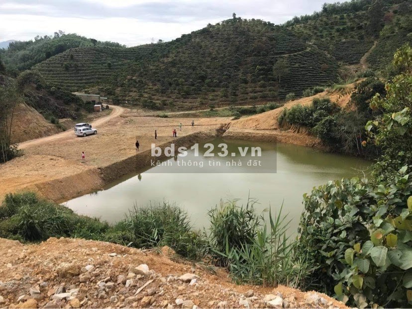 Cần bán lô đất có hồ view tuyệt đẹp