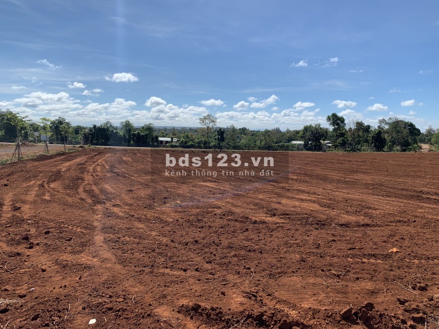 Đất Sổ Đỏ Thổ Cư Ở Gia Lai Giá Rẻ.