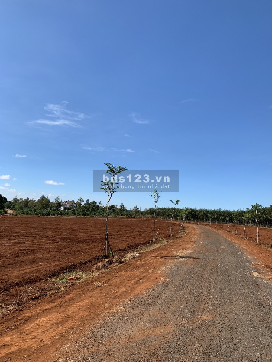 Đất Sổ Đỏ Thổ Cư Ở Gia Lai Giá Rẻ.