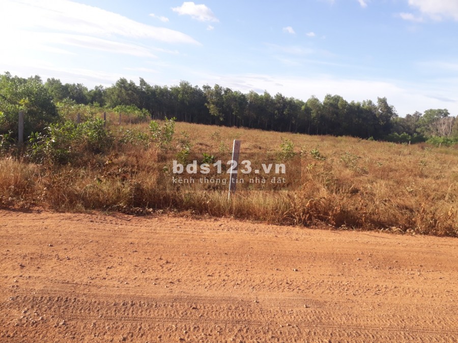 Hàng gọp cần ra đi mảnh đất ở Tiến Thành-TP Phan Thiết- Bình Thuận