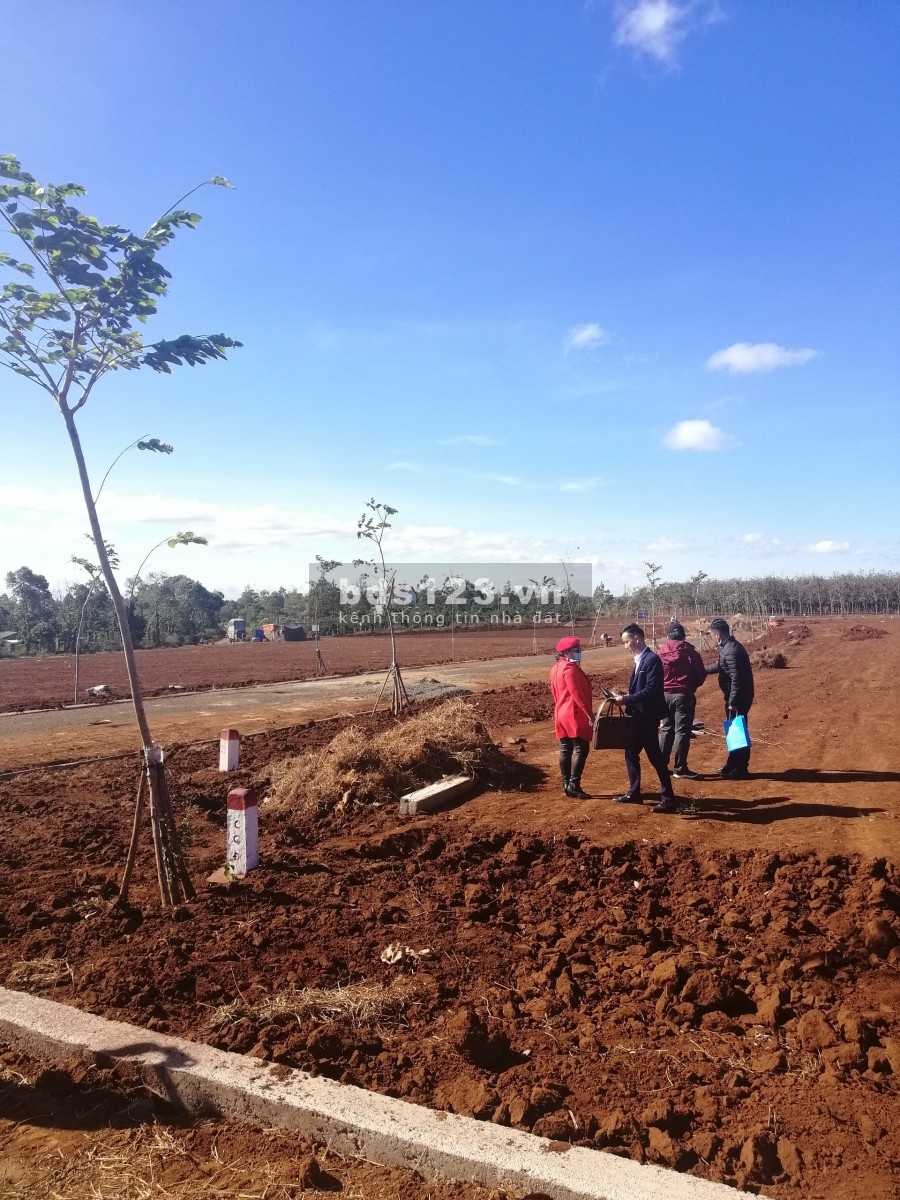 Đất Sổ Đỏ Thổ Cư Ở Gia Lai Giá Rẻ.