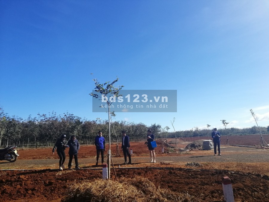 Đất giá rẻ, Chư sê, Gia lai. Dt: 300 m2 thổ cư
