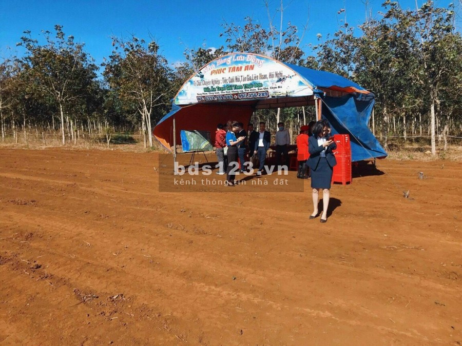 Đất giá rẻ, Chư sê, Gia lai. Dt: 300 m2 thổ cư