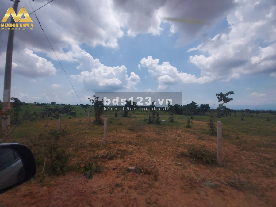 Sang nhượng đất trồng cây, đã có sô, 7000m2 420tr
