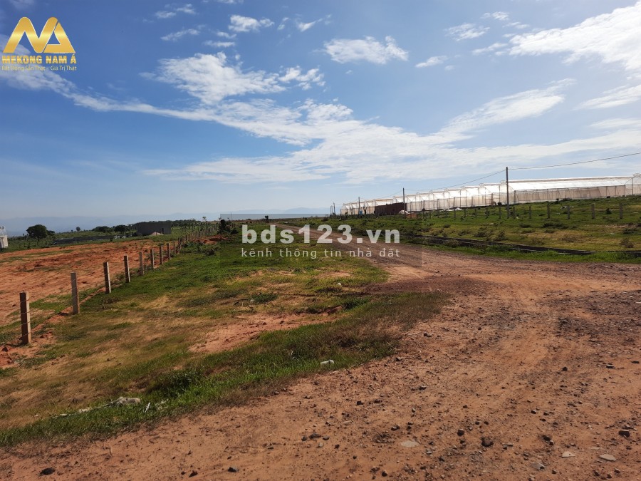 Sang nhượng đất trồng cây, đã có sô, 7000m2 420tr