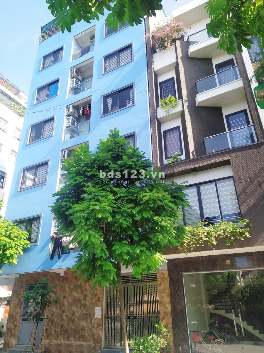 Bán Gấp Nhà CCMN Đường La Thành, 7 Tầng 100M2 MT 6M Giá chỉ 20 tỷ