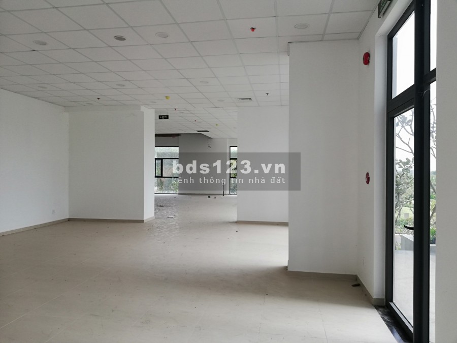 Bán TMDV A.03.02, 171m2. Chỉ 6 tỷ, thanh toán 30%. Nhận 80 triệu + 2 năm phí quản lý