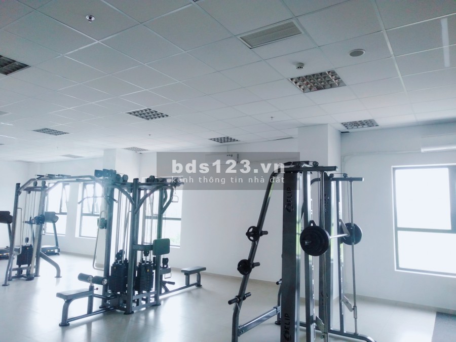 Bán TMDV A.03.02, 171m2. Chỉ 6 tỷ, thanh toán 30%. Nhận 80 triệu + 2 năm phí quản lý