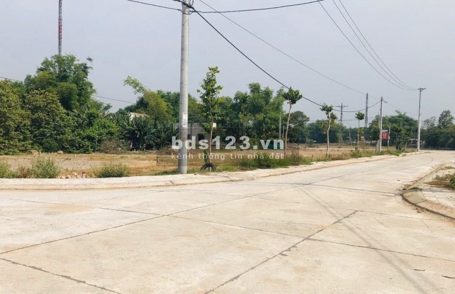NHU CẦU ĐẦU TƯ, KHẢ NĂNG SINH LỜI CAO SAU TẾT