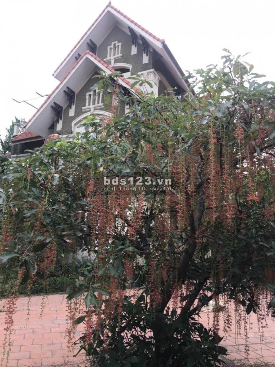 CẦN BÁN GẤP TRONG TẾT LÔ ĐẤT 1820M, GỒM 160M THỔ CƯ TẠI CỔ ĐÔNG- SƠN TÂY