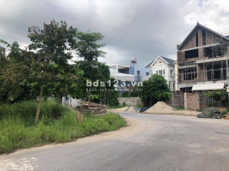 Đầu năm mua muối - cuối năm mua đất đầu tư