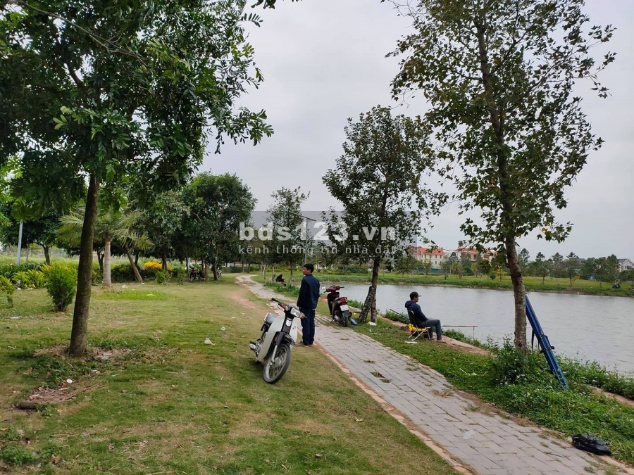 Đầu năm mua muối - cuối năm mua đất đầu tư