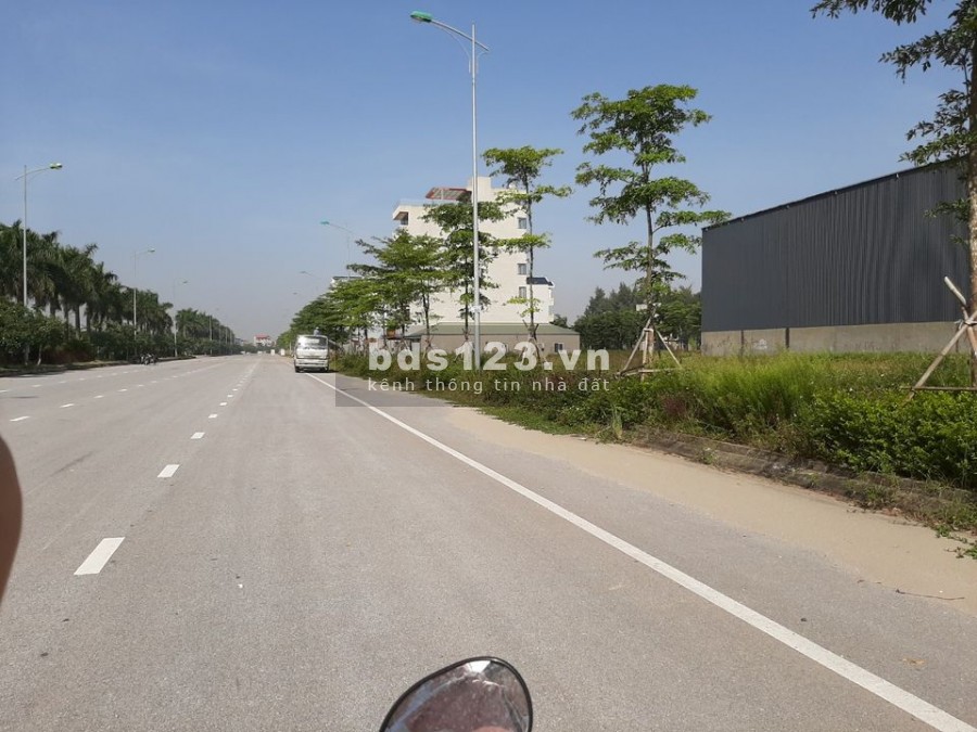 Đầu năm mua muối - cuối năm mua đất đầu tư